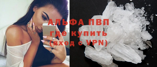 мяу мяу мука Михайлов