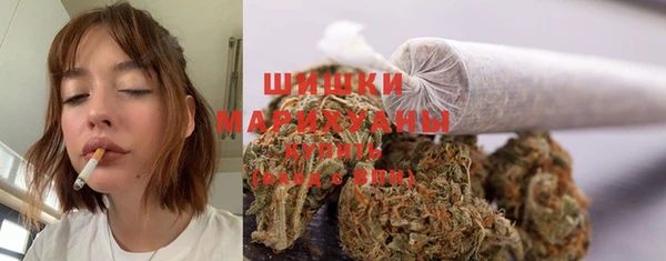 мяу мяу мука Михайлов