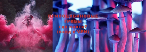 мяу мяу мука Михайлов