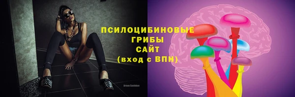 мяу мяу мука Михайлов
