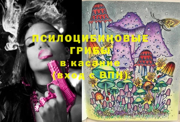 винт Михайловка