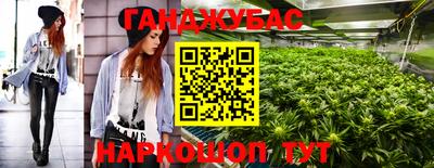 шишки Гусь-Хрустальный