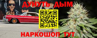 spice Гусиноозёрск