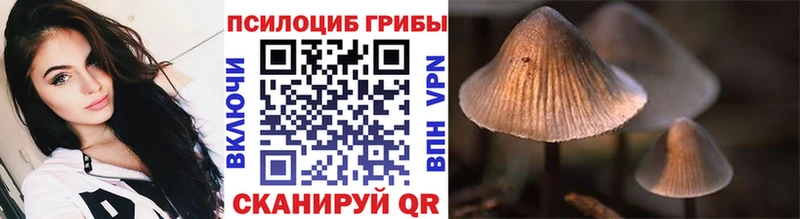 Галлюциногенные грибы Psilocybine cubensis  omg ссылки  Новороссийск 