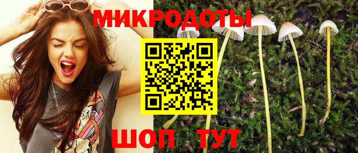 Псилоцибиновые грибы GOLDEN TEACHER Новороссийск