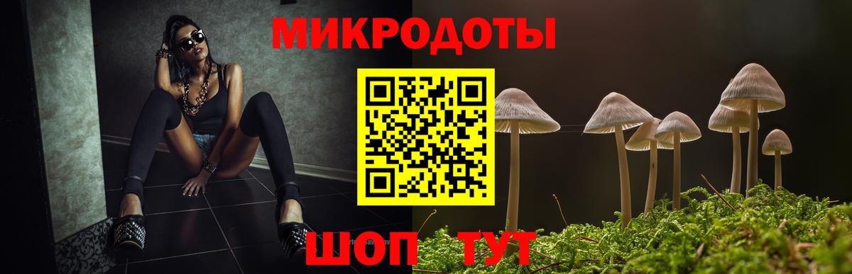 Псилоцибиновые грибы MAGIC MUSHROOMS Новороссийск