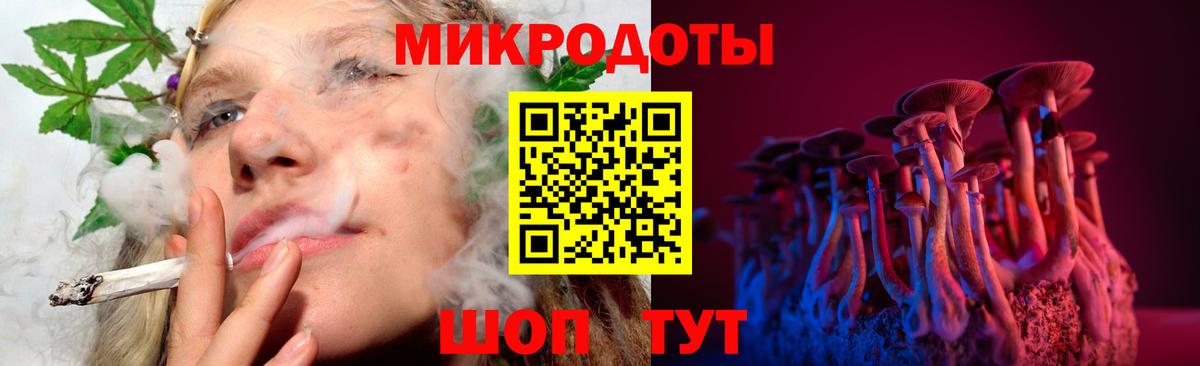 Новороссийск  Псилоцибиновые грибы GOLDEN TEACHER  Галлюциногенные грибы мицелий  Вход с VPN 