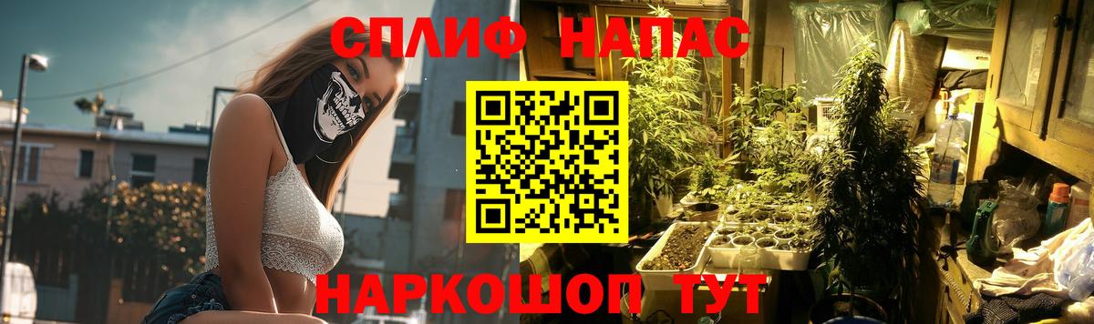 МАРИХУАНА OG Kush Новороссийск